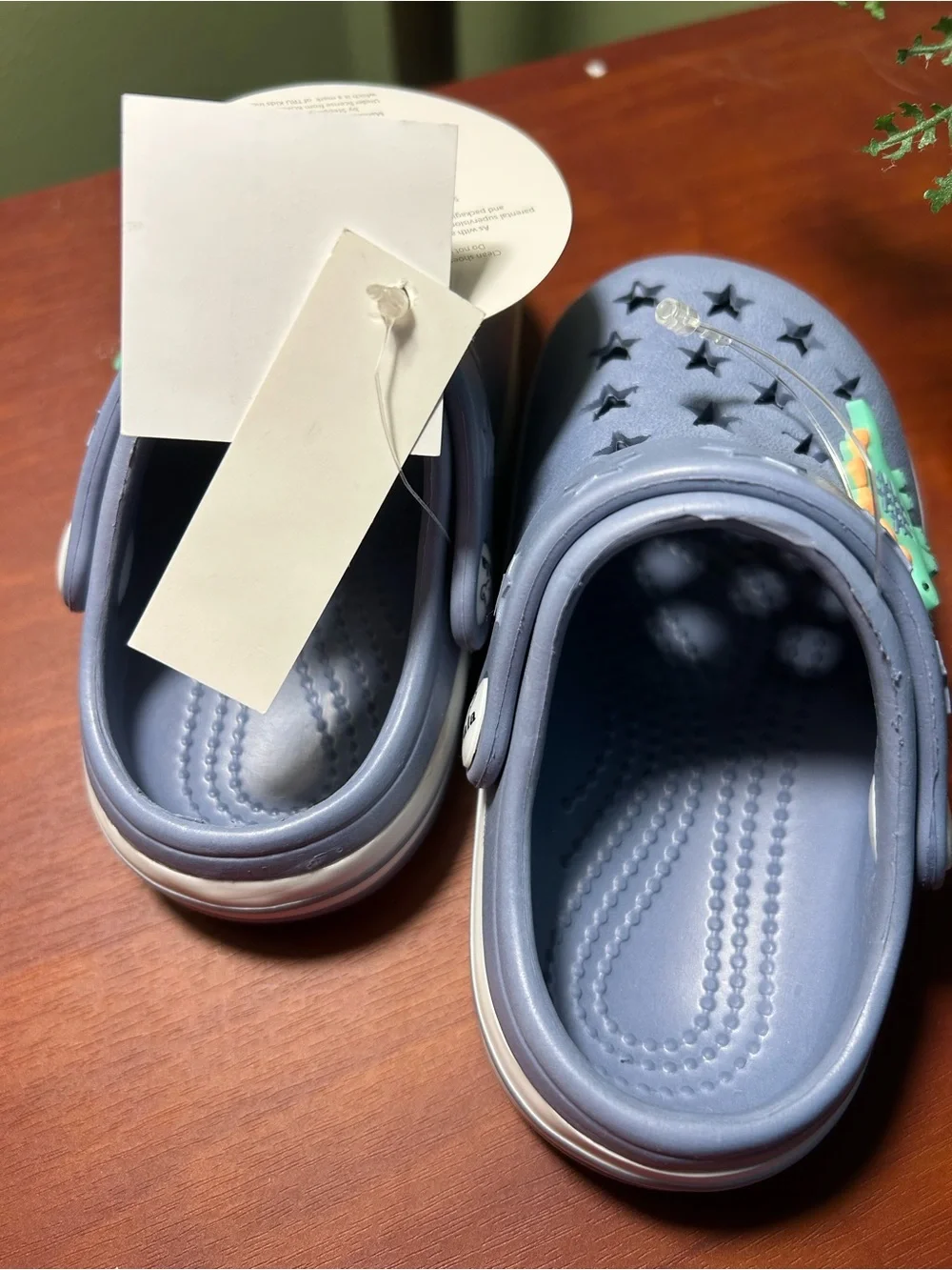 Koala Kids Light blue Star Clogs with Green and Yellow Dinosaur Charms